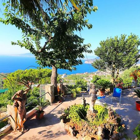 La Rosa Del Sud - De Vivo Realty Sorrento Διαμέρισμα Εξωτερικό φωτογραφία