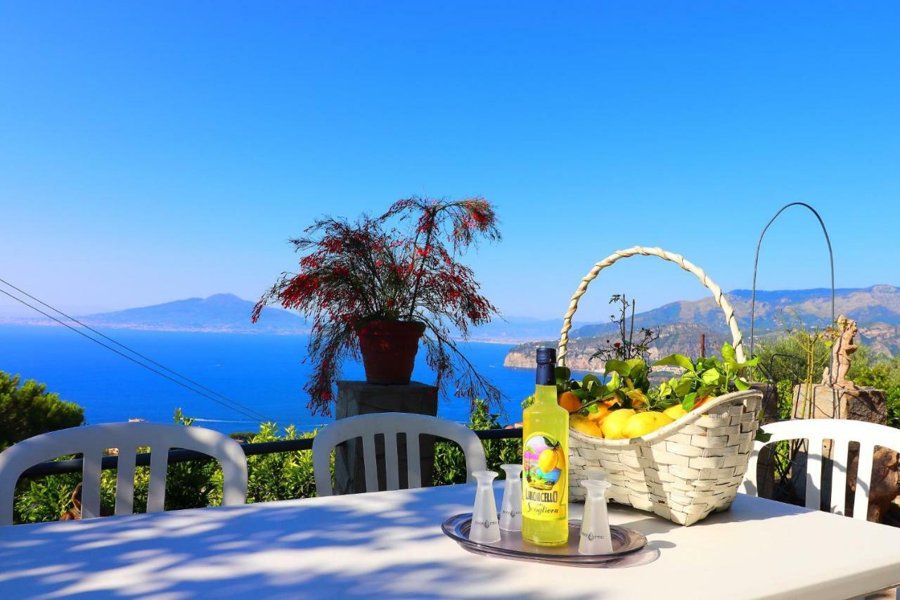 La Rosa Del Sud - De Vivo Realty Sorrento Διαμέρισμα Εξωτερικό φωτογραφία