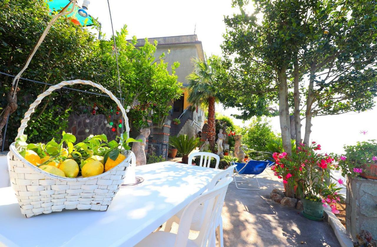 La Rosa Del Sud - De Vivo Realty Sorrento Διαμέρισμα Εξωτερικό φωτογραφία