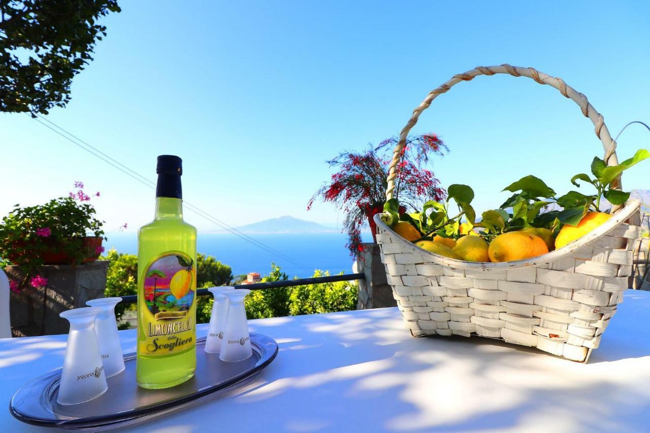 La Rosa Del Sud - De Vivo Realty Sorrento Διαμέρισμα Εξωτερικό φωτογραφία